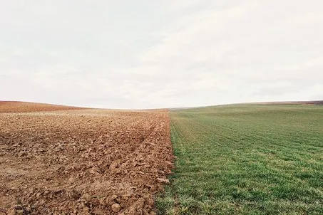 Rubrik_Landwirtschaft_Naturschutz_-_Boden-farmland-801817__340